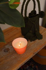 Abalon Porcelain Candle - Rosemary, Cedarwood & Lavender