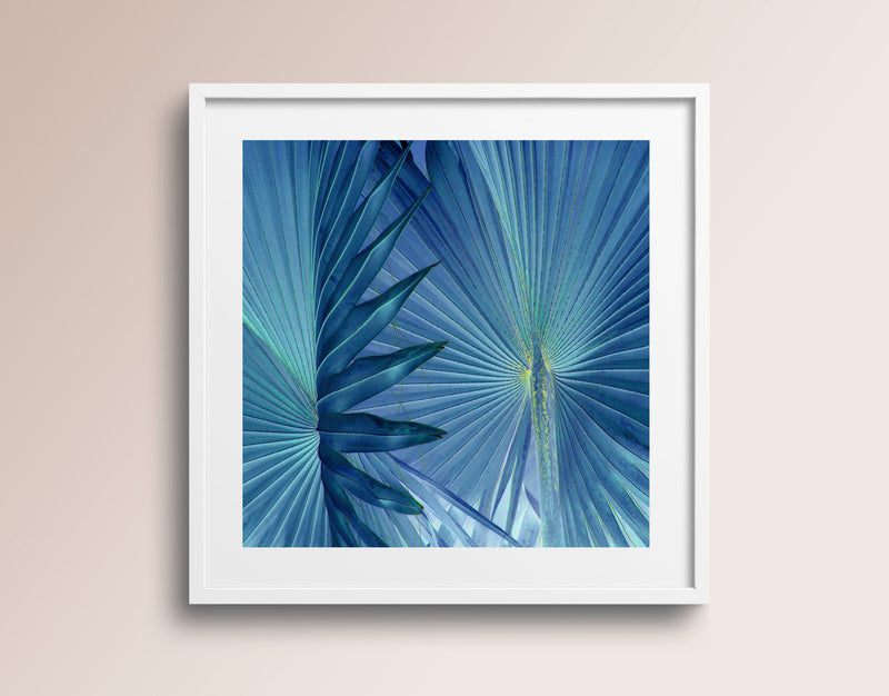 Fan Palm Sunlight & Shadows - Silk Wall Art