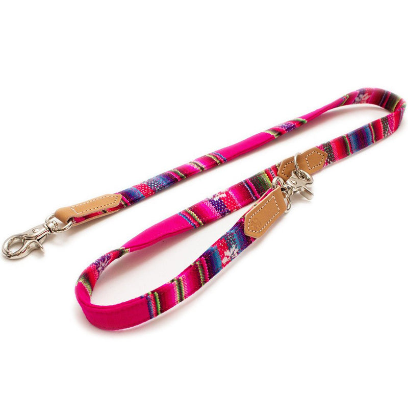 Dog lead