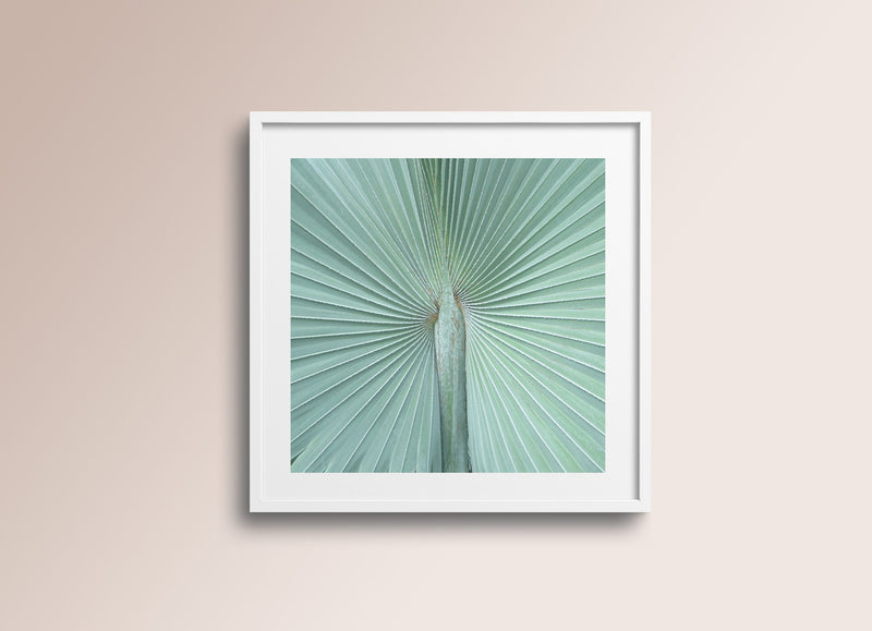 Fan Palm - Silk Wall Art