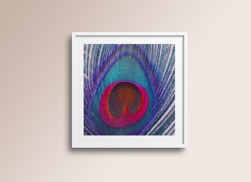 Eye Of The Peacock - Silk Wall Art